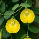 서정고등학교 이미지