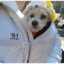 건우동물병원 이미지