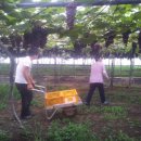 희성농장 이미지