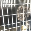 대풍슈퍼 이미지