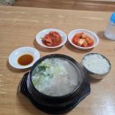 고향식당 | 논산 고향식당 도가니탕 후기｜이런 곳에 맛집이? 블루리본 받은 진짜 시골 밥집