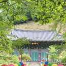 원통 | 천안 광덕사 후기, 꼭 가봐야 하는 이유 (힐링 사찰)