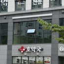 세종 나성동 창고형 약국 호약국 다녀온 솔직 후기｜여민전·온누리 사용 가능