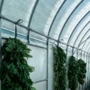 꿈의농장 이미지