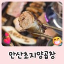 안산초지양곱창 네이버블로그