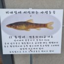 비내섬화장실(비내쉼터 옆) | 충주 비내섬 후기(사랑의 불시착 촬영지)