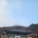 할머니순대국 이미지