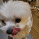 지산동물병원 이미지