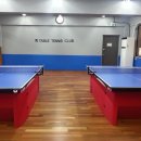 수탁구 Daum카페