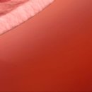 감초한방병원 이미지