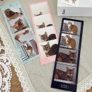 멍스데이 이미지