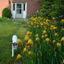 밸리민박 이미지