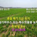 홍성 사방 막힘이 없어 종일 해가들어 작물농사가 잘 되는 토지, 축사 없음/ 2,282평 평당10만원 이미지