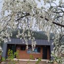 다불촌 독채민박 | 경주독채민박 자연을 듬뿍 느낄 수 있는 다불촌독채펜션 좋아요