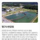 950회 토요걷기(7/4)치악산 바람길숲 트레킹외해설탐방(열차와버스연계)갑니다-6/12수정(마감) 이미지