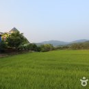 노스텔지아 이미지