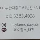 메이팜스대전