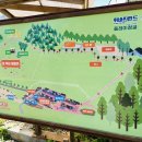 휘바핀란드위드플레이정글 이미지