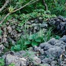 서호동-4 이미지