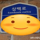 삼백로 이미지