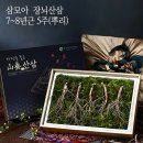 삼모아