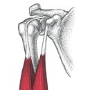 jkj 헬스 이미지