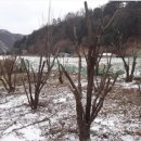 양지말농장 이미지