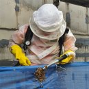 금천소방119센터 이미지