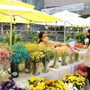 롯데아울렛 광교점 이미지