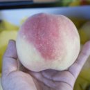 복중농장 이미지