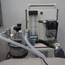 아이웰 동물의료센터 이미지