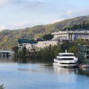 펫크루즈 이미지