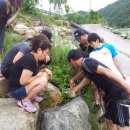 상선민박 이미지