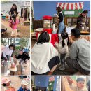 🫶🏻다시, 봄 바자회🫶🏻 이미지