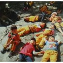 보고유치원 이미지