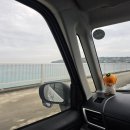 토케이패밀리