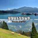 대한농장 | 타이중 일월담 칭징농장 kkday 일일투어 후기