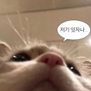 예준 - 김포시 | 예준