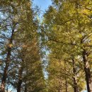 한가람아파트경로당 이미지