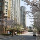 퍼스트롯데캐슬공인중개사사무소 이미지