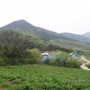 덕암목장 Daum카페
