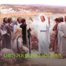 오늘은꽃날