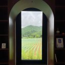 동림세탁 | 불자는 아니지만 불교는 좋아하는 사람의 업보세탁 여행 ➁ (월정사 명상마을 옴뷔, 전나무 숲길, 신선희...