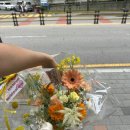 자유로 동물병원 이미지