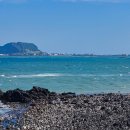 2025 성안올레 걷기 축제 이미지