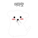 모카애견 이미지