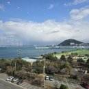 피아크 | 부산 영도 피아크 카페 후기