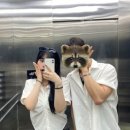차차차 노래연습장 이미지