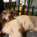 코코목욕 이미지