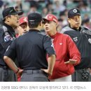 &#34;혼란 초래했다&#34;…LG-SSG전 통한의 오심, 우효동 심판 &#39;출장 정지&#39; 징계 이미지